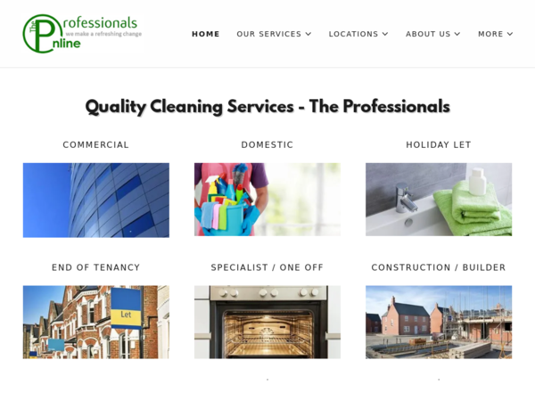 The Professionals Cleaning