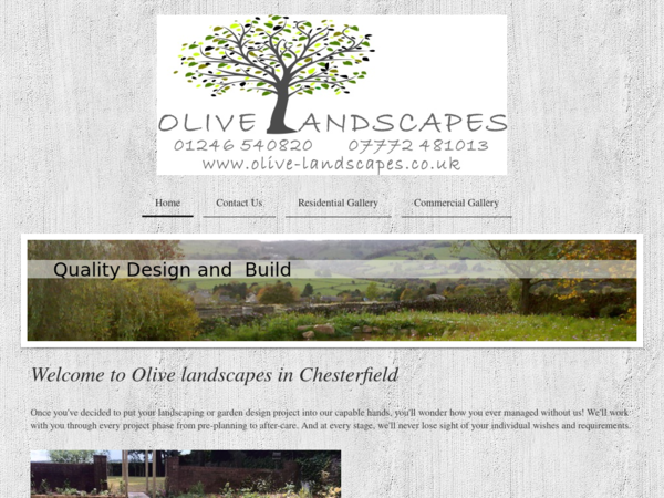 Olive Landscapes