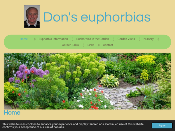 Don's Hardy Euphorbias