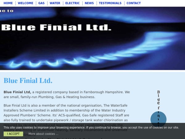 Blue Finial Ltd