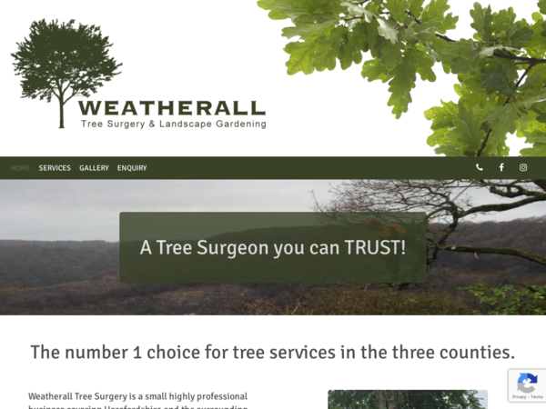 Weatherall Tree Surgery & Landscape Gardening