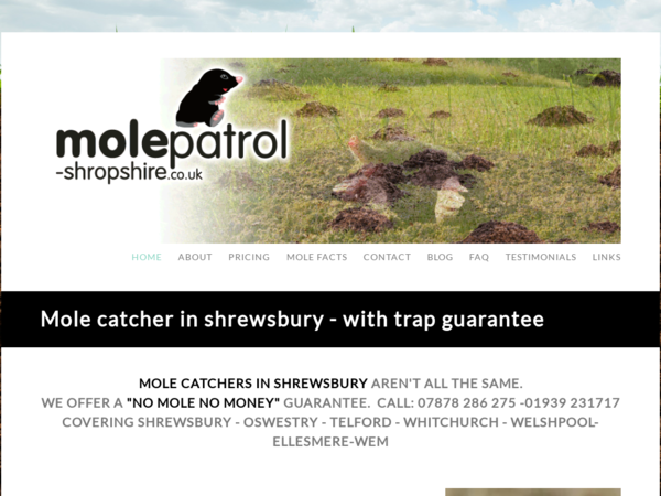 Mole Patrol Shropshire