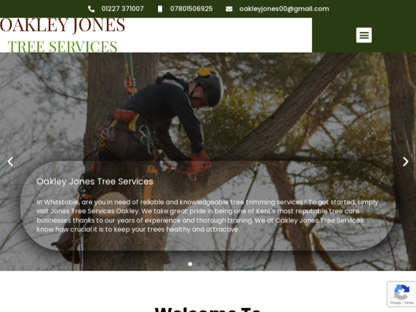 Oakley Jones Tree Services