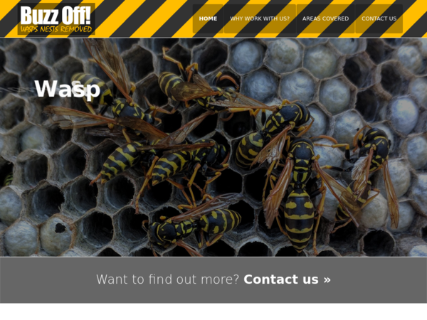 Buzz Off!