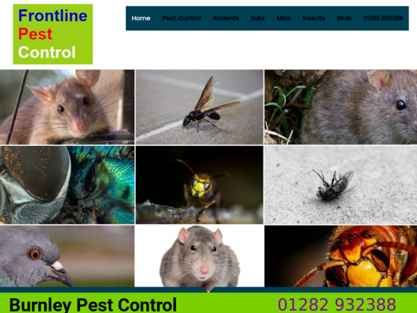 Frontline Pest Control