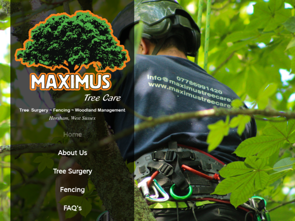 Maximus Tree Care