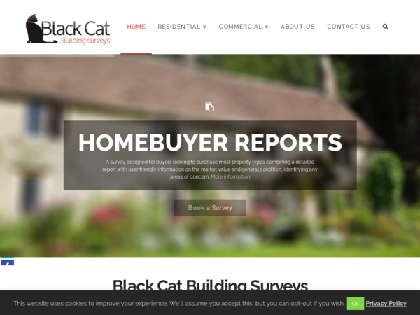 Black Cat Building Surveys Ltd